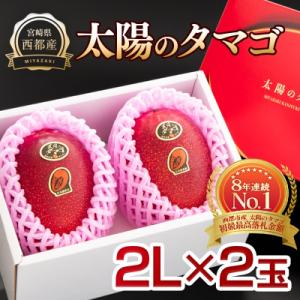 ふるさと納税 西都市 【太陽のタマゴ2玉】西都市産完熟マンゴー『先行受付』[2206]