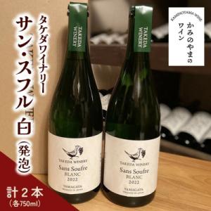 ふるさと納税 上山市 【タケダワイナリー】サン・スフル(白)2本　0147-2605
