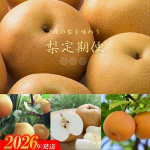 ふるさと納税 福島市 梨の3品種定期便【2026年発送　先行受付】No.2535