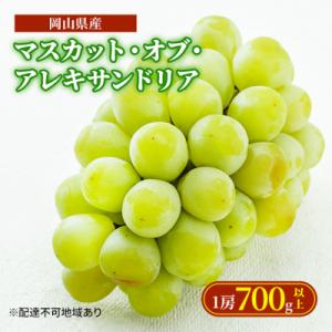 ふるさと納税 瀬戸内市 マスカット・オブ・アレキサンドリア 1房700g以上 化粧箱入 岡山県産[N...