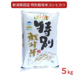 ふるさと納税 無洗米 福島県 二本松市 令和7年産 《2025年10月以降順次