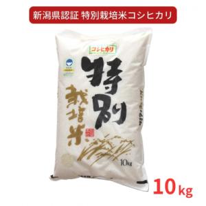 ふるさと納税 三条市 特別栽培米 コシヒカリ10kg 令和7年産 新潟県認証 新潟県三条市産 こしひかり【018S025】