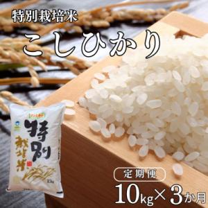 ふるさと納税 三条市 [定期便10kg×3ヶ月] 特別栽培米 コシヒカリ10kg 新潟県認証 令和7年産【053S002】｜Yahoo!ふるさと納税
