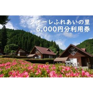 ふるさと納税 白川町 クオーレふれあいの里 利用...の商品画像