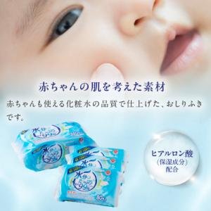 ふるさと納税 小牧市 【4回定期便】水分たっぷ...の詳細画像2