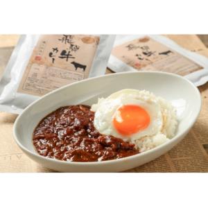 ふるさと納税 岐阜県 飛騨牛カレー&amp;飛騨牛入りハンバーグセット