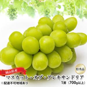 ふるさと納税 瀬戸内市 マスカット・オブ・アレキサンドリア 特秀品 1房 700g以上 岡山県産[N...