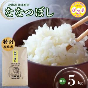 ふるさと納税 比布町 令和7年産 特別栽培米 ななつぼし 精米 5kg 【西間農園】1005-021