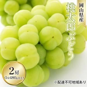 ふるさと納税 瀬戸内市 桃太郎 ぶどう 2房(1...の商品画像