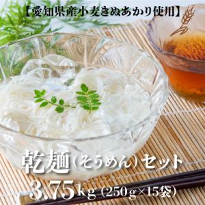 ふるさと納税 碧南市 【乾麺】碧海の恵み そうめ...の商品画像