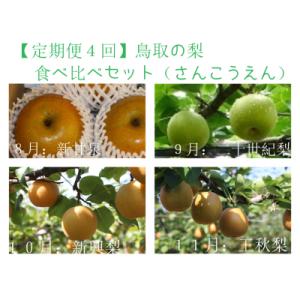 ふるさと納税 鳥取市 【定期便4回】鳥取の梨食べ比べセット (各種3kg箱)