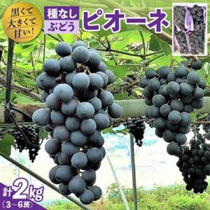 ふるさと納税 上山市 種無しぶどう(ピオーネ)2kg　0020-2614