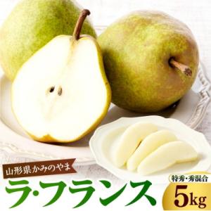 ふるさと納税 上山市 西洋梨(ラフランス)5kg　特秀・秀品混合　0110-2606