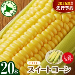 ふるさと納税 芽室町 【先行受付】北海道芽室町  スイートコーン20本 イエロー me002-014c-26