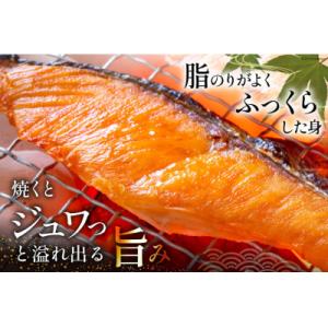 ふるさと納税 気仙沼市 訳あり 鮭 切身 約3...の詳細画像1