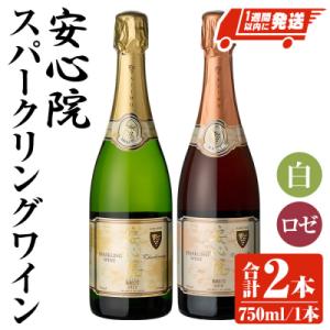 ふるさと納税 宇佐市 安心院スパークリングワイン 白・ロゼ 各1本 【107303100】【時枝酒店...