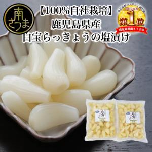 ふるさと納税 南さつま市 【鹿児島県産】白宝らっきょうの塩漬け 900g×2P
