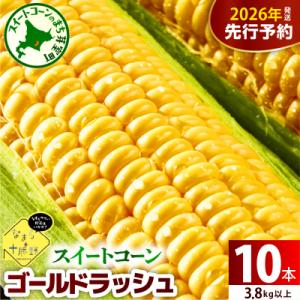 ふるさと納税 芽室町 【先行受付】北海道十勝芽室町 スイートコーンゴールドラッシュ 10本 me001-003c-26