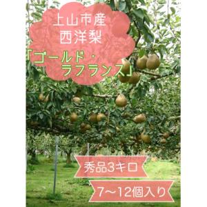 ふるさと納税 上山市 西洋梨(ゴールドラ・フランス)3kg　7〜12個　0120-2605