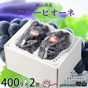 ふるさと納税 瀬戸内市 【2026年先行受付】ニュー ピオーネ 約400g×2房 岡山県産[No.5735-1672]