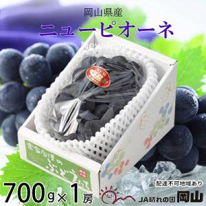 ふるさと納税 瀬戸内市 【2026年先行受付】ニュー ピオーネ 約700g×1房 岡山県産[No.5735-1673]