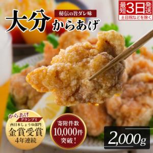 ふるさと納税 豊後高田市 【最短3営業日発送】 唐揚げ 便利小分け 骨なし大分からあげ 2kg(50...