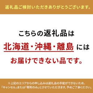 ふるさと納税 瀬戸内市 シャインマスカット 晴...の詳細画像1