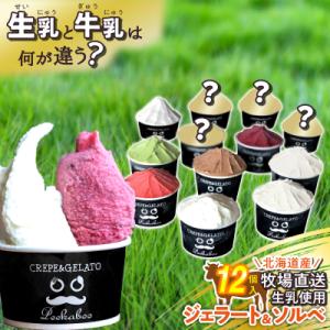 ふるさと納税 新ひだか町 北海道産 生乳 ジェラート アイス 12個入り ジェラートセット