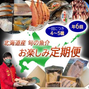 ふるさと納税 新ひだか町 <定期便6回>北海道産 旬の魚介 4~5種 お楽しみ定期便