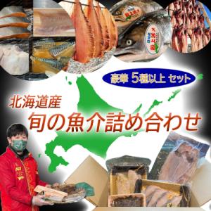 ふるさと納税 新ひだか町 北海道産 旬の魚介 5種以上 豪華 お楽しみ詰め合わせ セット