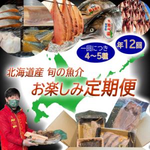ふるさと納税 新ひだか町 ＜定期便12回＞北海道産 旬の魚介 4〜5種 お楽しみ定期便