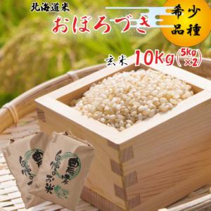 ふるさと納税 新ひだか町 令和7年度産 北海道米 おぼろづき 玄米 10kg (5kg×2)