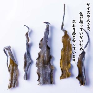 ふるさと納税 新ひだか町 訳あり 北海道産日高...の詳細画像1