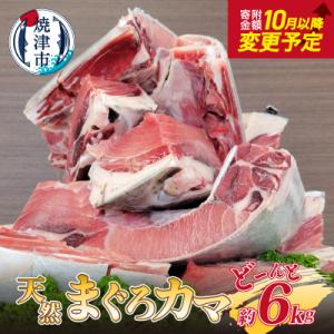ふるさと納税 焼津市 大きな 天然 まぐろ カマ 業務用 約6kg BBQにも(a10-907)
