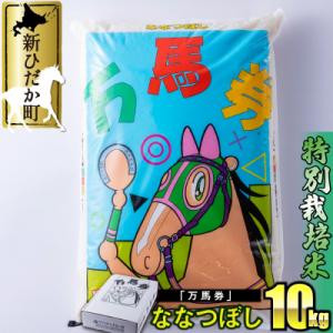 ふるさと納税 新ひだか町 北海道産特別栽培米ななつぼし 万馬券10kg