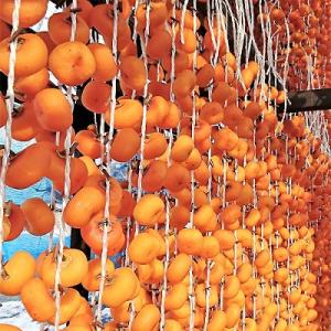 ふるさと納税 上山市 紅干し柿 50果 010...の詳細画像2