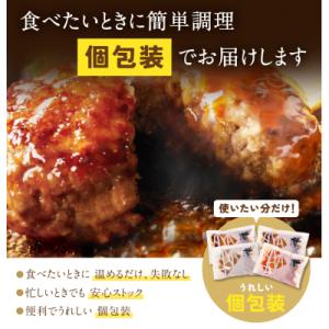 ふるさと納税 福智町 Best4バーグ ハンバ...の詳細画像2