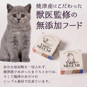 ふるさと納税 焼津市 ペット フード 猫 焼津...の詳細画像1