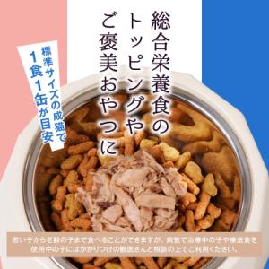 ふるさと納税 焼津市 ペット フード 猫 焼津...の詳細画像2