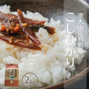 ふるさと納税 江府町 お米 コシヒカリ 2kg 特別栽培米 鳥取県江府町産 こしひかり 産地直送 お試し 2キロ 0930