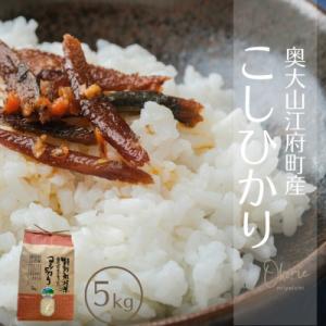 ふるさと納税 江府町 コシヒカリ 5kg 特別栽培米 鳥取県江府町産 こしひかり 精米 産地直送 5キロ 0931
