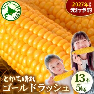 ふるさと納税 芽室町 【2027年先行受付】北海道芽室町 十勝めむろスイートコーン 13本入り me...
