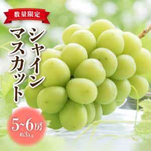 ふるさと納税 東御市 【先行受付2026年発送】東御市産シャインマスカット3kg(5〜6房)【秋お届...