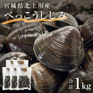 ふるさと納税 石巻市 北上川のべっこうしじみ 1kg(200g×5) 冷凍 石巻産 小分け 真空パッ...