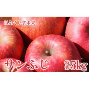 ふるさと納税 福島市 りんご「サンふじ」 約5kg 特秀14〜18玉【2025年度発送】 No.25...