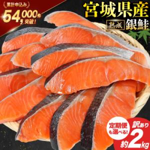 ふるさと納税 気仙沼市 訳あり 鮭 宮城県産 切身 約2kg サーモン 国産 [20563343]宮城東洋 小分け 鮭切り身