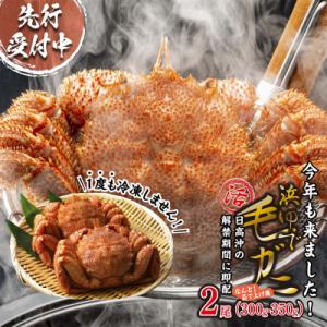 ふるさと納税 新ひだか町 &lt;2026年2月中旬から順次発送&gt; 北海道産浜ゆで毛ガニ 2尾 計600g...
