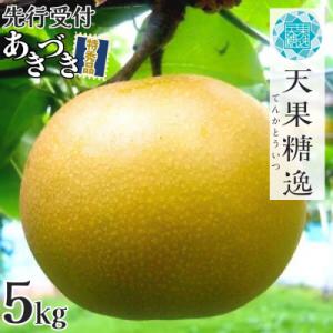 ふるさと納税 三条市 先行受付 和梨 あきづき 特秀品 約5kg 糖度13度以上を厳選 令和8年度 【013S063】