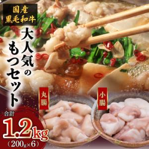 ふるさと納税 鹿児島市 黒毛和牛!大人気のもつ(ホルモン)セット　K002-006