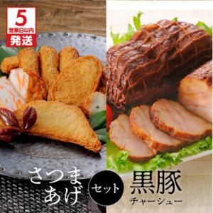 ふるさと納税 鹿児島市 【5営業日以内に発送】月揚庵 さつまあげ・黒豚チャーシューセット　K003-002